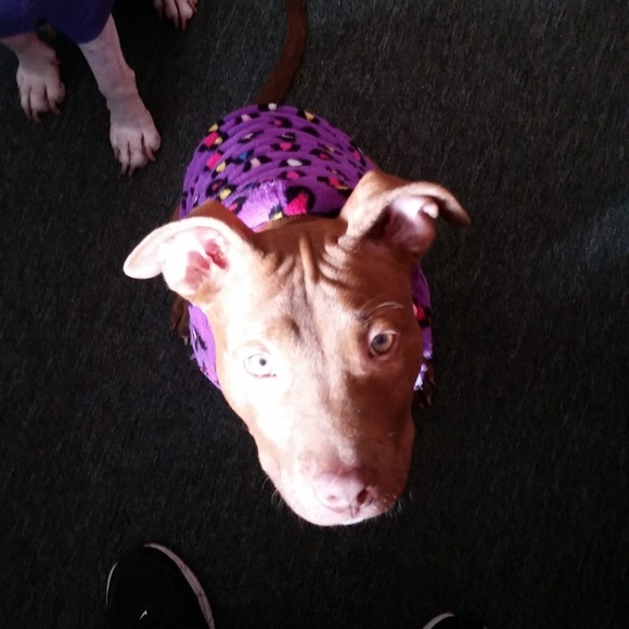 Meet your Posher, Kimberly - Picture 3 of 5